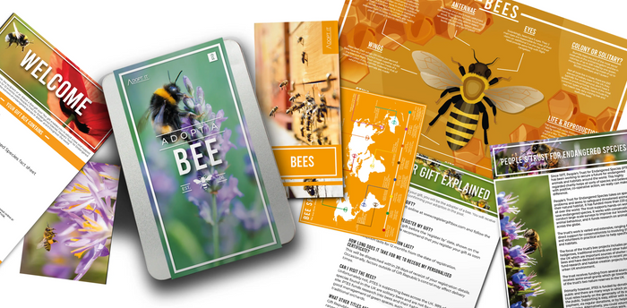 Adopt A Bee