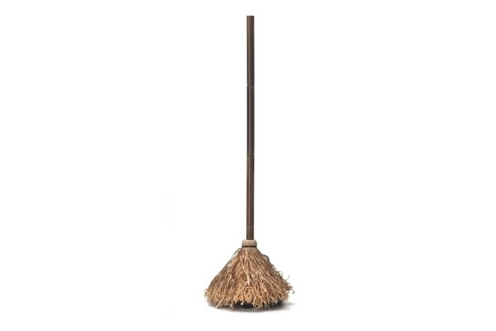 Dancing Broom