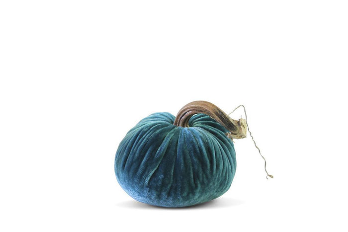PP Turquoise Pumpkin