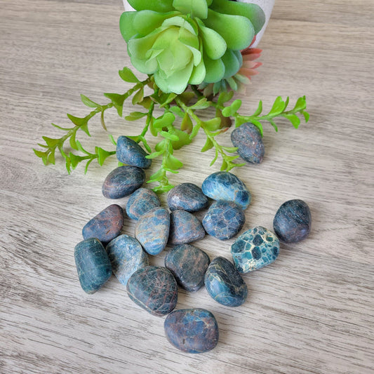Apatite Tumbled 1" *Sold Individually*