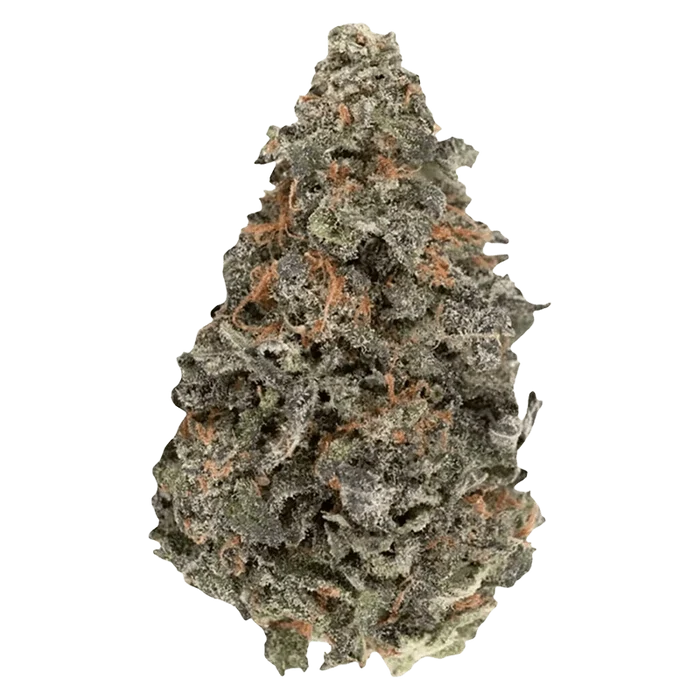 Close-up of a single frosty BC Organic Luv Affair cannabis bud shown against a plain background, highlighting its orange pistils and dense trichome coating