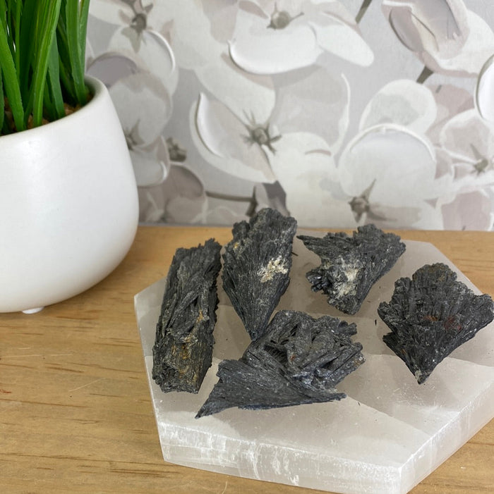 Black Kyanite Specimen-approximately 2" to 4"