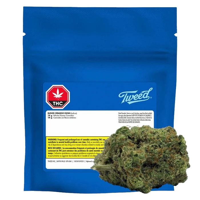 Front-facing shot of a blue foil pouch and a trimmed nug in the foreground labeled "Blood Orange Kush."
