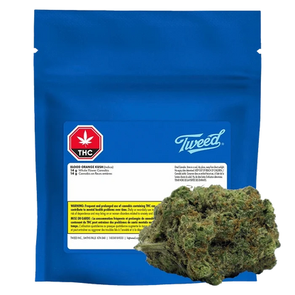 Front-facing shot of a blue foil pouch and a trimmed nug in the foreground labeled "Blood Orange Kush."