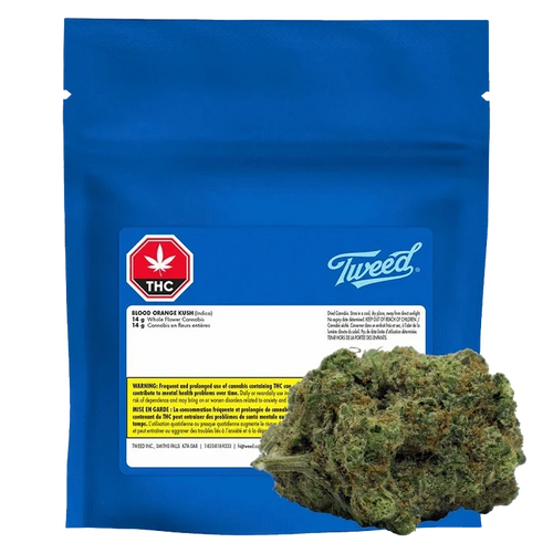 Front-facing shot of a blue foil pouch and a trimmed nug in the foreground labeled "Blood Orange Kush."