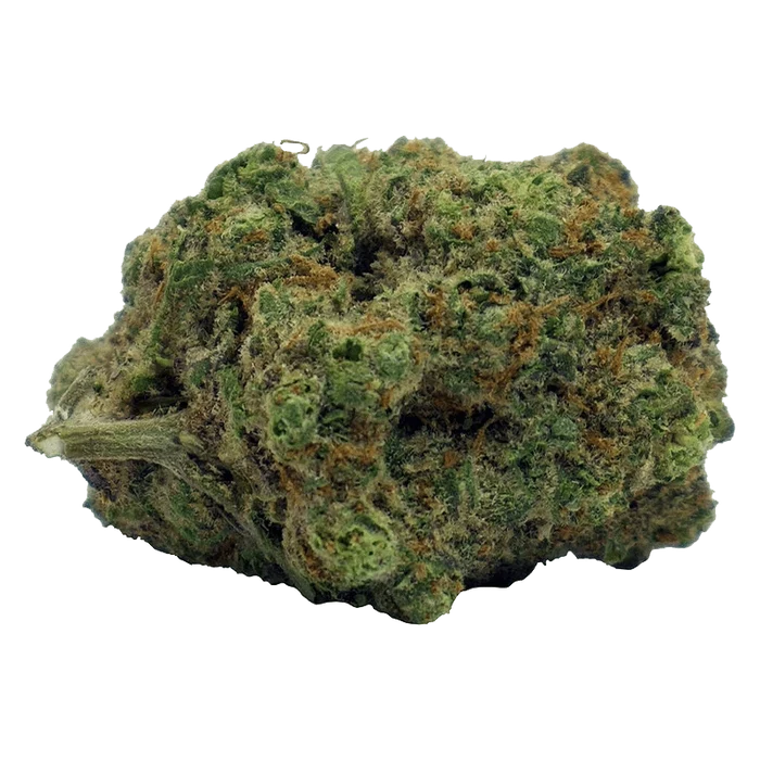 Close-up, slightly angled view of a dense green and orange bud labeled Blood Orange Kush, showing trichomes and a short stem.