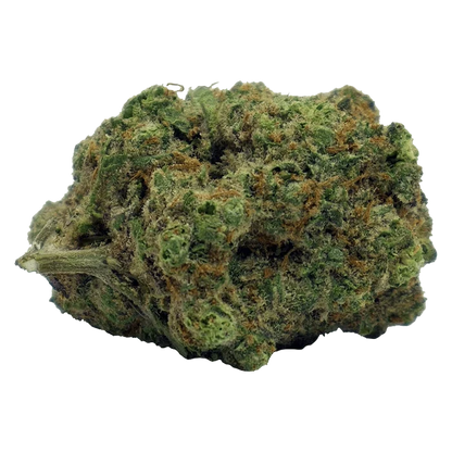 Close-up, slightly angled view of a dense green and orange bud labeled Blood Orange Kush, showing trichomes and a short stem.