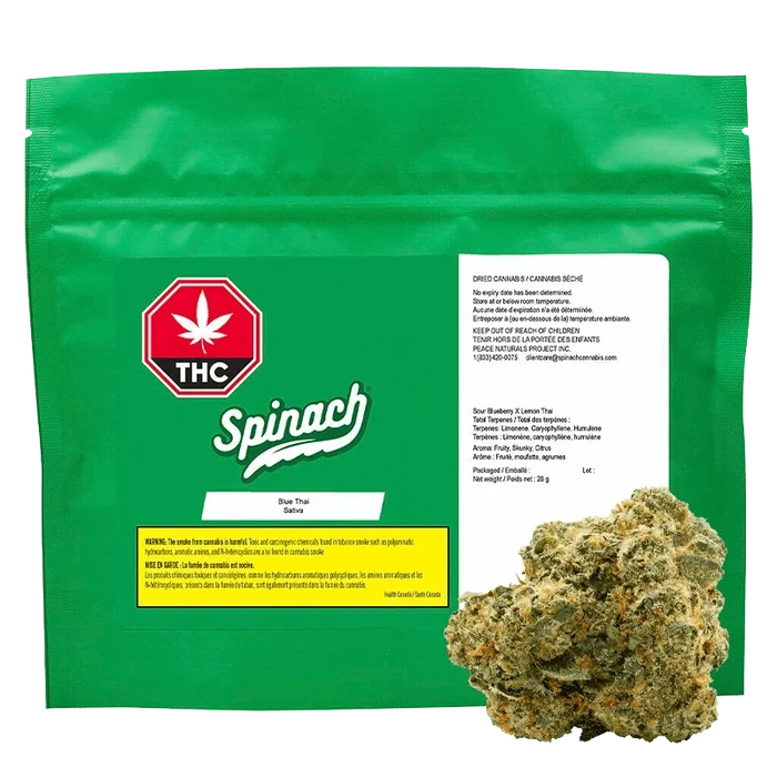 Green resealable pack photographed head-on with a bud at the lower right, labeled Spinach Blue Thai.