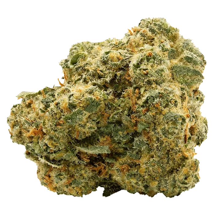 Close-up front view of a single dense "Blue Thai" bud showing frosty trichomes, green leaves and orange hairs against a plain background.