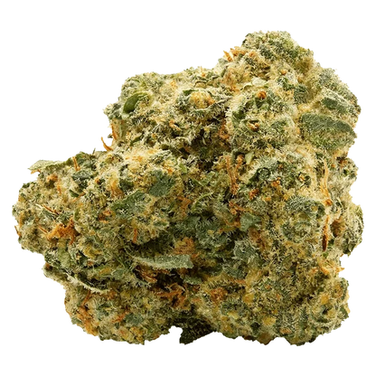 Close-up front view of a single dense "Blue Thai" bud showing frosty trichomes, green leaves and orange hairs against a plain background.