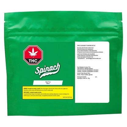Front-facing green resealable pouch labeled "Spinach Blue Thai" with a red THC octagon logo left and a white info panel right.