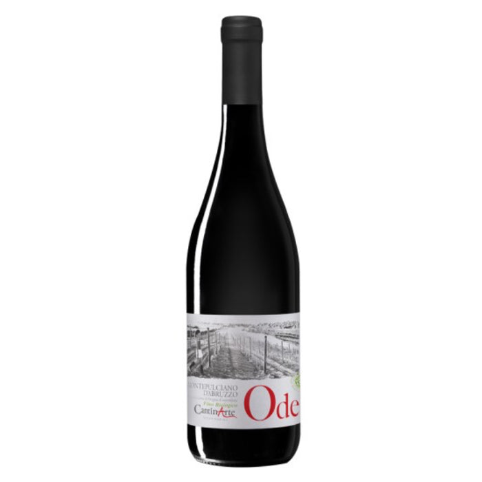CantinArte Ode Montepulciano d'Abruzzo wine bottle with front label