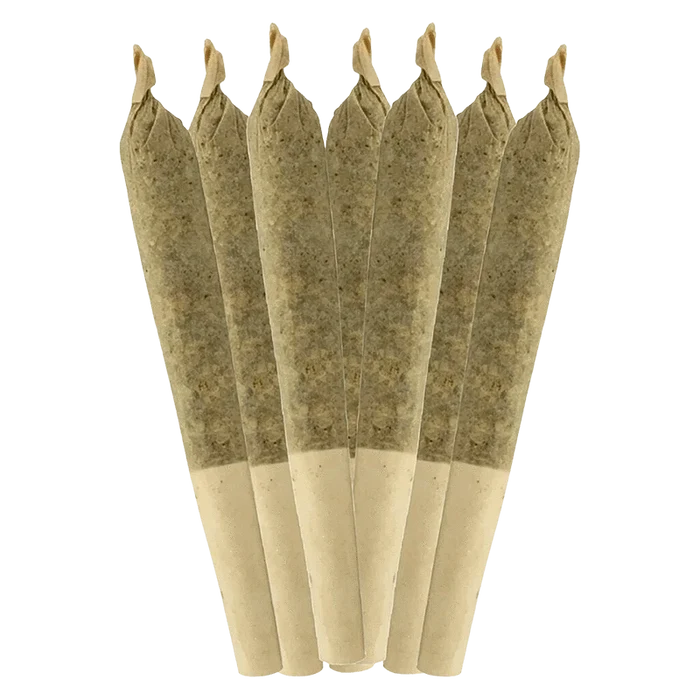 Centered front view of seven cone joints fanned upright, labeled Coffin Candy PR 7 x 0.5 g, on a plain transparent background.