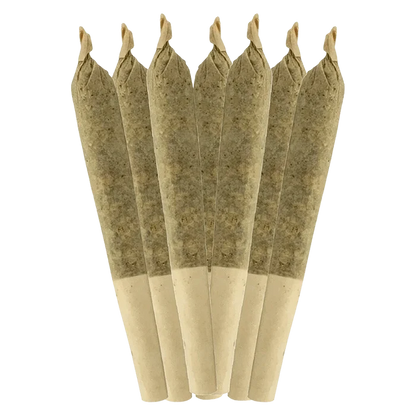 Centered front view of seven cone joints fanned upright, labeled Coffin Candy PR 7 x 0.5 g, on a plain transparent background.