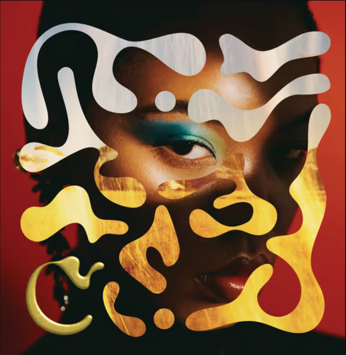 Close-up of wine label with illustrated face, shapes, and warm colors