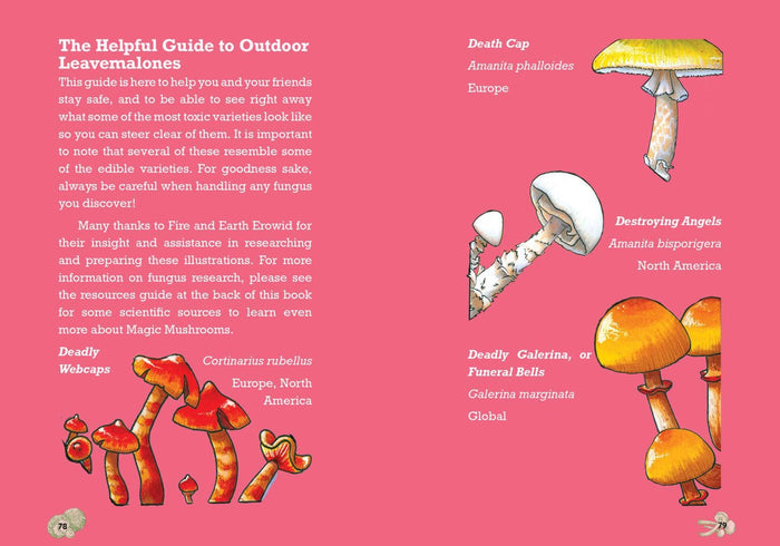 Cooking with Magic Mushrooms: The Psilocybin Cookbook