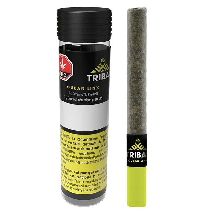 Front view of a cylindrical tube and a single pre-roll with a yellow ceramic tip, both labeled "Cuban Linx Ceramic Tip PR 1 x 1 g."