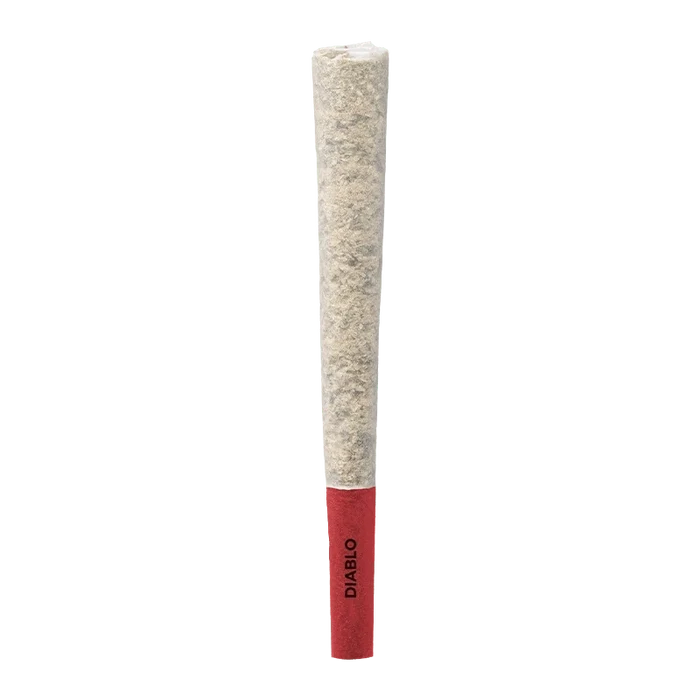 Centered vertical view of a single Diablo PR 1 x 1 g pre-roll with a textured beige paper body and a red filter tip labeled "DIABLO".