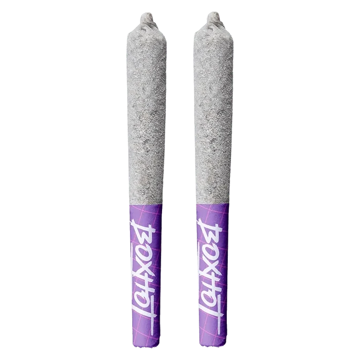 Top-down view of two ash-coated pre-rolls with purple tipped filters, Diamond Doobies - Code Blue Infused PR 2 x 0.5 g
