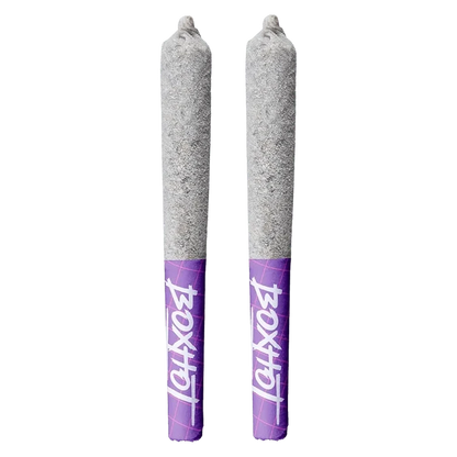 Top-down view of two ash-coated pre-rolls with purple tipped filters, Diamond Doobies - Code Blue Infused PR 2 x 0.5 g