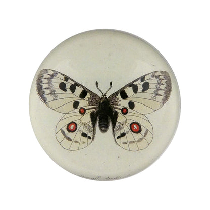 Dome Paperweight, Apollo Butterfly - John Derian Decoupage