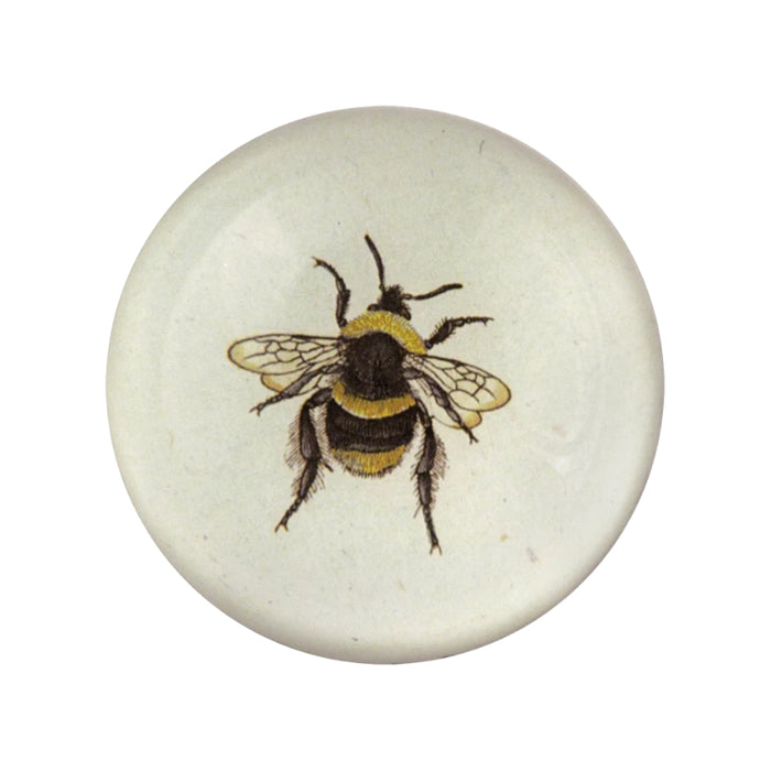 Dome Paperweight, Bee (Striped) - John Derian Decoupage