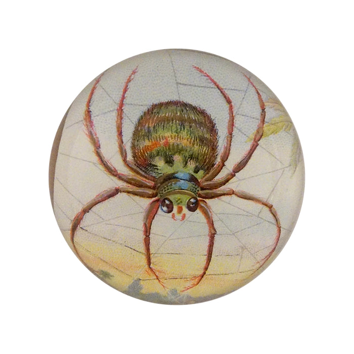 Dome Paperweight, Big Spider Web - John Derian Decoupage