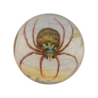 Dome Paperweight, Big Spider Web - John Derian Decoupage