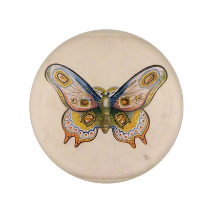 Dome Paperweight, Butterfly Ad - John Derian Decoupage