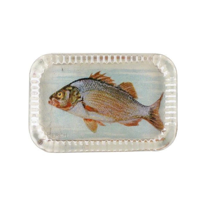 Dotted Edge Paperweight, Perch - John Derian Decoupage