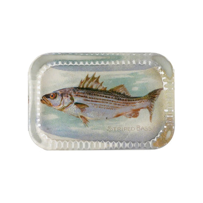 Dotted Edge Paperweight, Striped Bass - John Derian Decoupage