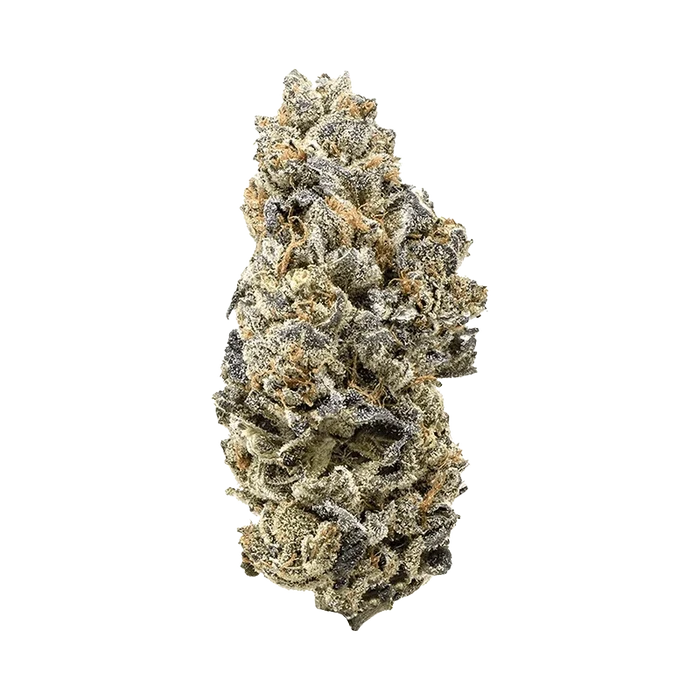 Close-up front view of a single frosty bud of Durban Poison showing dense green and purple leaves dusted with white trichomes and orange pistils.