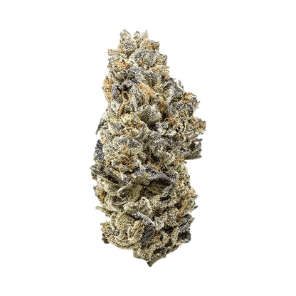 Close-up front view of a single frosty bud of Durban Poison showing dense green and purple leaves dusted with white trichomes and orange pistils.