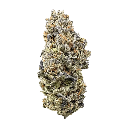 Crooked Dory 28 g Durban Poison Flower