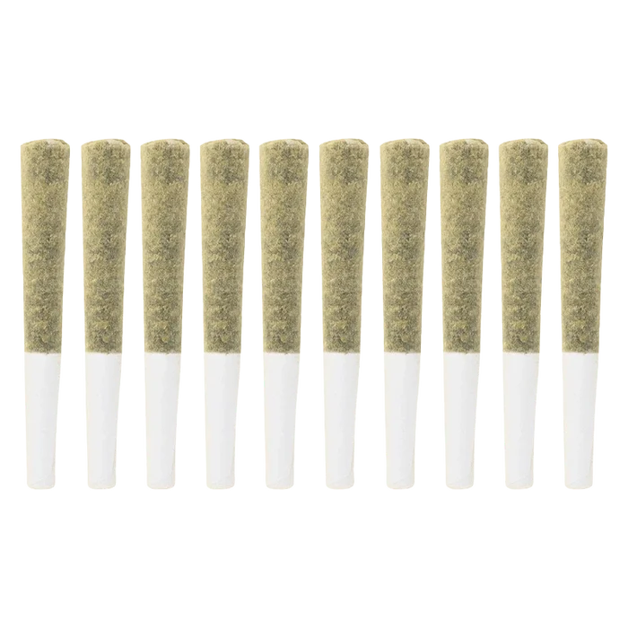Row of ten evenly spaced pre-rolled joints shown from the side on white background, labeled Exotic Gas PR 10 x 0.5 g.