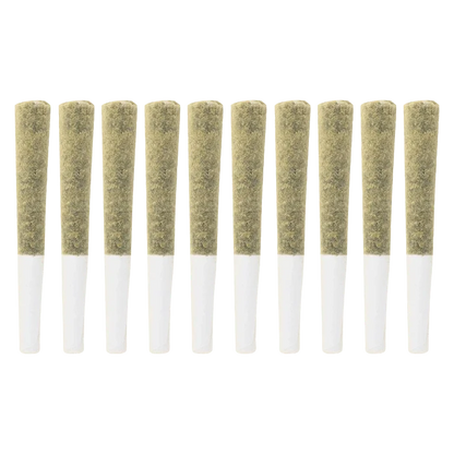 Row of ten evenly spaced pre-rolled joints shown from the side on white background, labeled Exotic Gas PR 10 x 0.5 g.