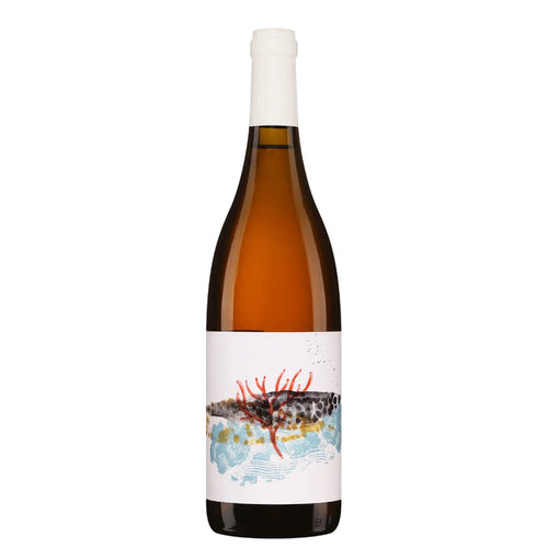 Formiche Ansonica wine bottle, amber glass with label featuring abstract coastal scene
