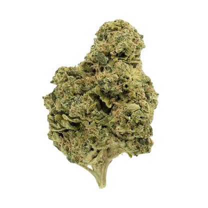 Close-up front view of a single green bud of Garlic Fumez, showing dense trichomes, orange pistils, and a short stem against a plain background.