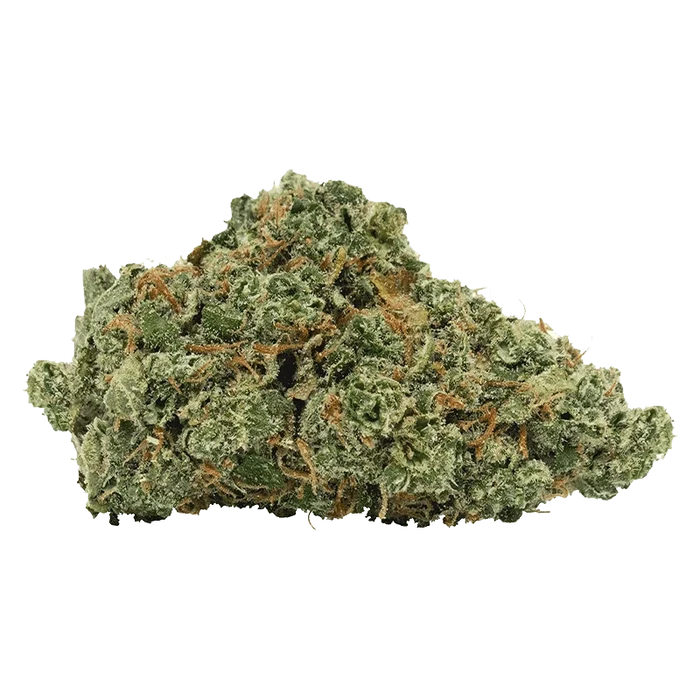 Close-up of a dense, frosty Granddaddy Purple Skunk bud showing green leaves and orange hairs against a neutral background.