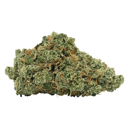 Close-up of a dense, frosty Granddaddy Purple Skunk bud showing green leaves and orange hairs against a neutral background.