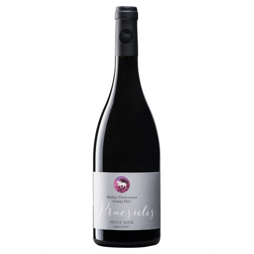 Pinot Nero 2021 red wine bottle with Praesulis label on dark glass
