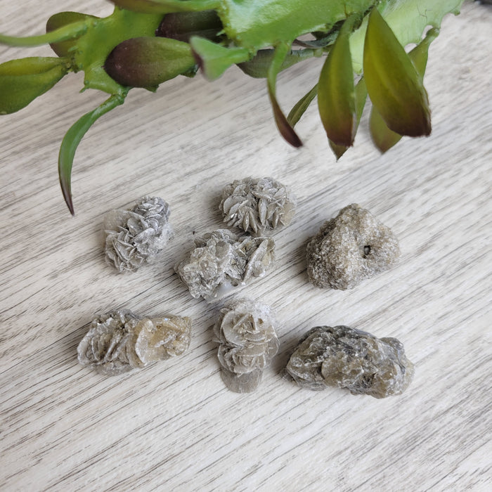 Gypsum Rose Cluster 1.25"