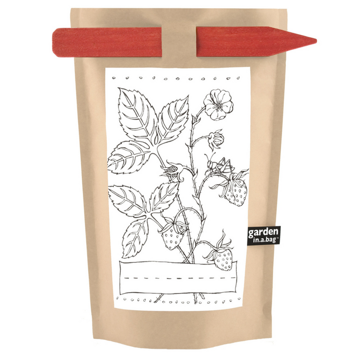 Kids Garden in a Bag | Strawberry