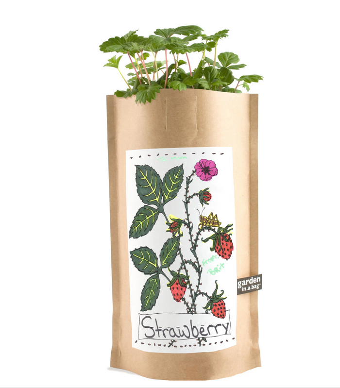 Kids Garden in a Bag | Strawberry