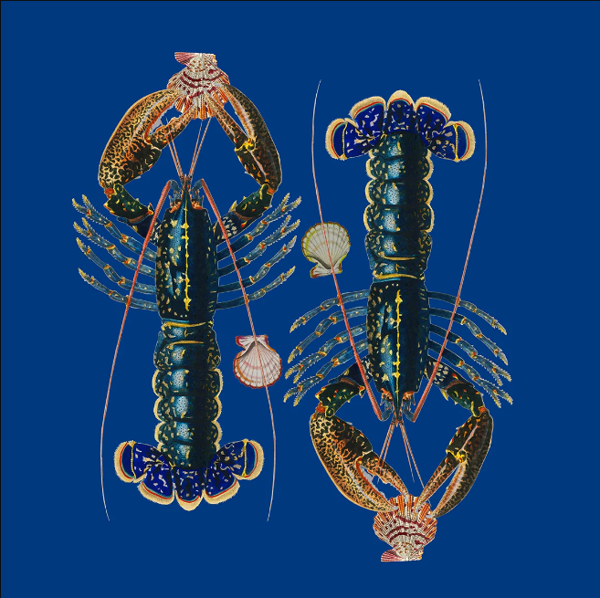 Lobster Seeing Double Tray