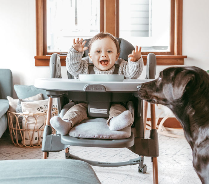 Maxi-Cosi Minla 6-in-1 High Chair