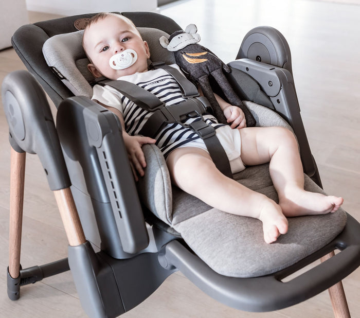 Maxi-Cosi Minla 6-in-1 High Chair