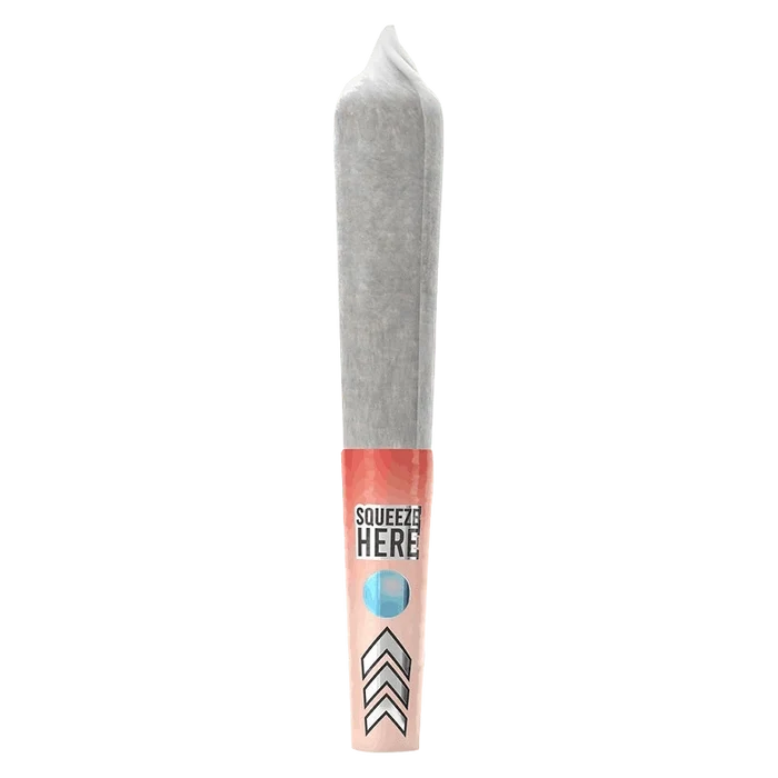 Center-aligned studio shot of a rolled joint with a pink "Squeeze Here" tip labeled Mini Burst Black Cherry Infused PR 5 x 0.5 g.