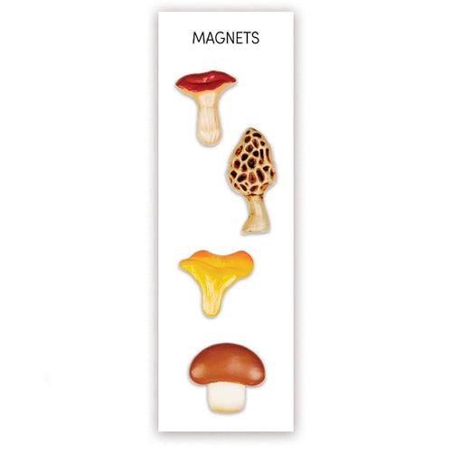 Mushroom Magnets - Three by Three Seattle