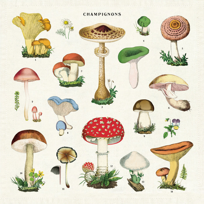 A set of four cloth napkins with a mushroom theme printed in various colors on each napkin, presented on a white background.